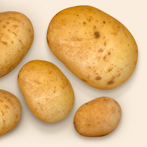 Unser Kartoffelwissen